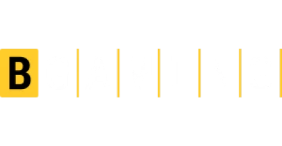 partners who work with 11exch