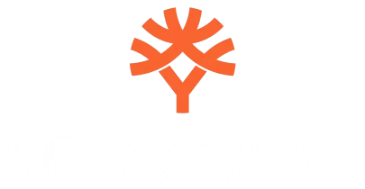 partners who work with 11exch